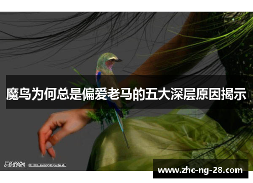 魔鸟为何总是偏爱老马的五大深层原因揭示