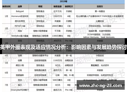 英甲外援表现及适应情况分析：影响因素与发展趋势探讨